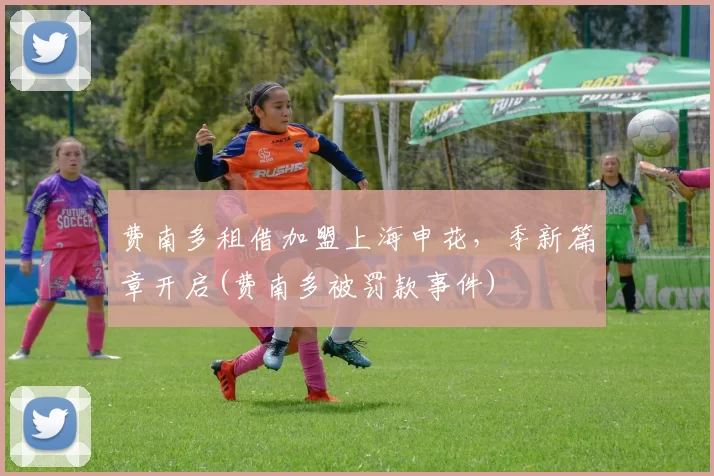 费南多租借加盟上海申花，季新篇章开启(费南多被罚款事件)